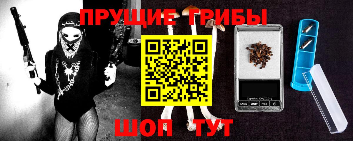 Псилоцибиновые грибы Psilocybe  Вход с VPN  Карпинск 
