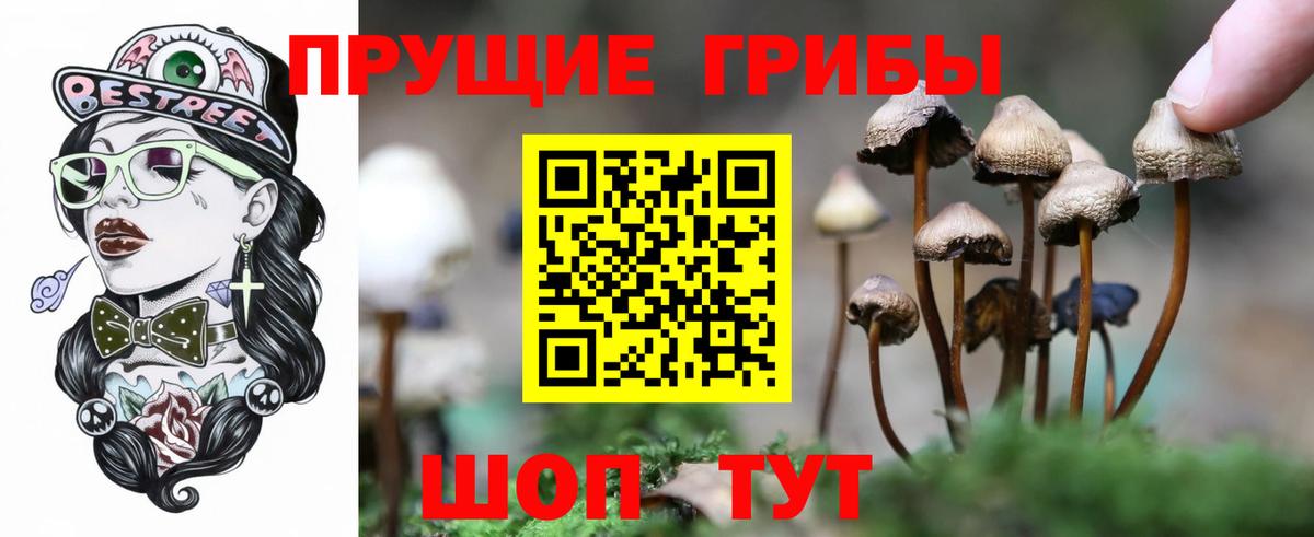 Галлюциногенные грибы ЛСД Карпинск